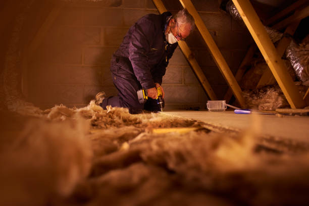 Best Residential Insulation in Bogalusa, LA