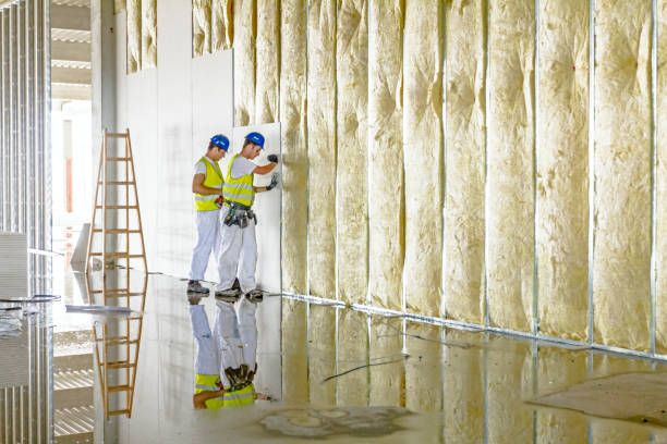 Best Commercial Insulation in Bogalusa, LA